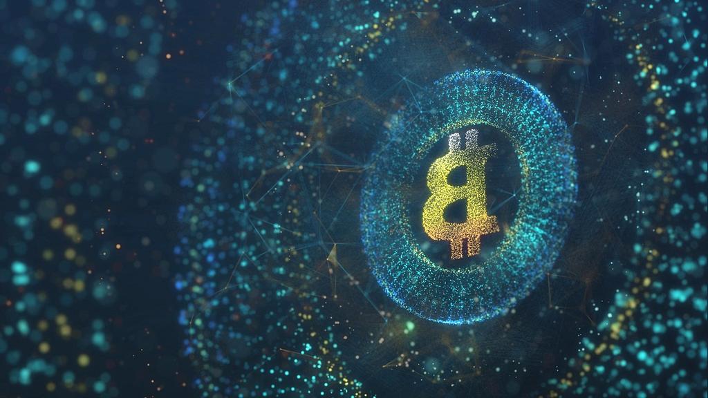 Visualization of blockchain data storage network