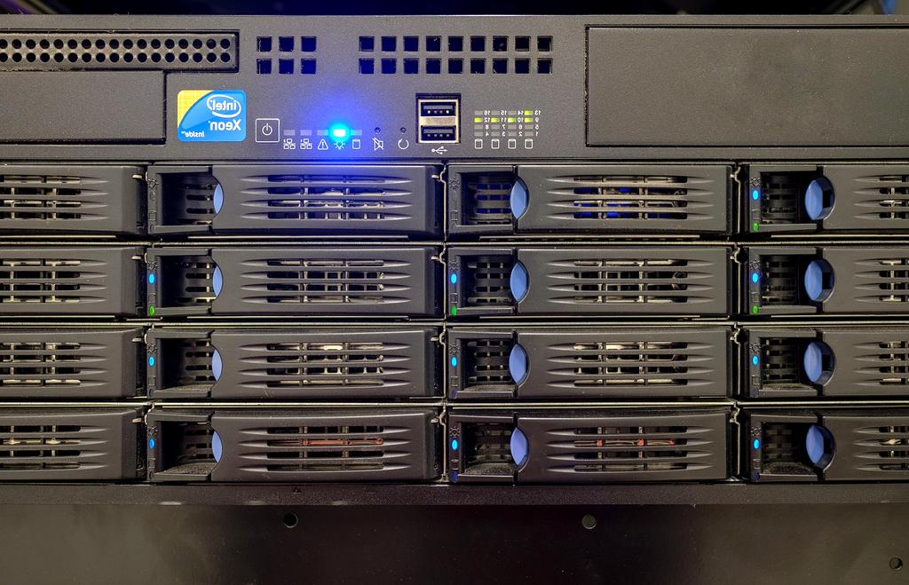 Money back guarantee seal